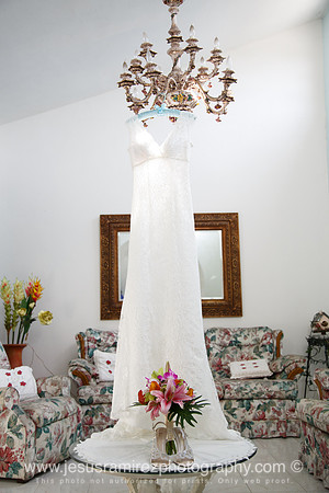 Ivette and Aaron Wedding