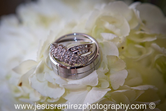 Jose and Vanessa Weddings