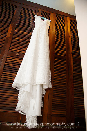 Ivette and Aaron Wedding
