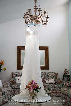 Ivette and Aaron Wedding