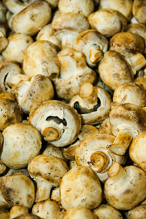 Food Photography
