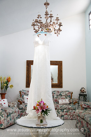 Ivette and Aaron Wedding