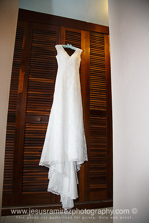 Ivette and Aaron Wedding