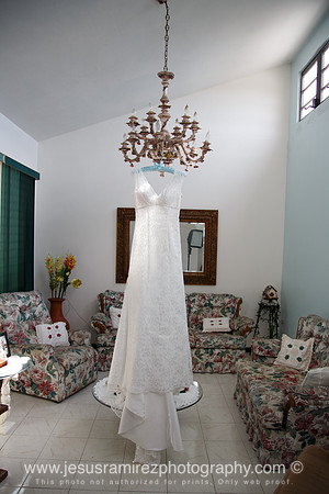 Ivette and Aaron Wedding