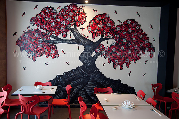 Bonsai Restaurant en Mayagüez Puerto Rico