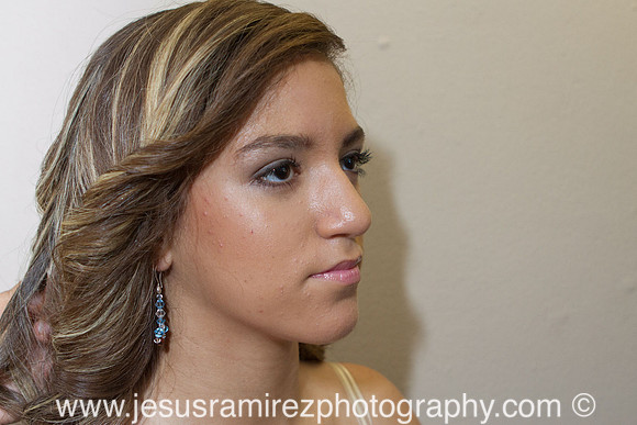 Jose and Vanessa Weddings