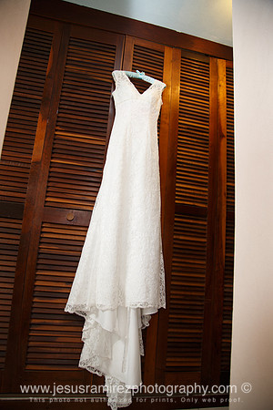 Ivette and Aaron Wedding