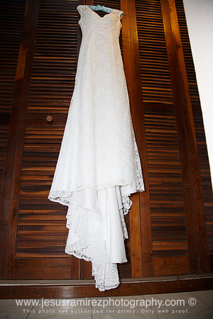 Ivette and Aaron Wedding
