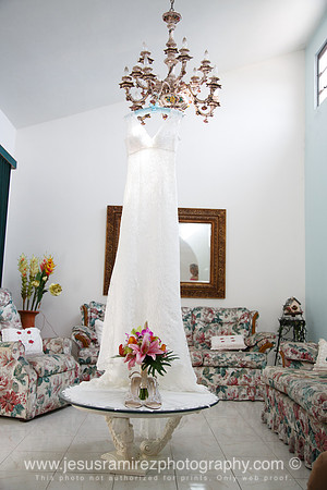 Ivette and Aaron Wedding